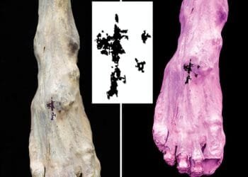 New study uncovers rare Christian tattoo in medieval Nubia