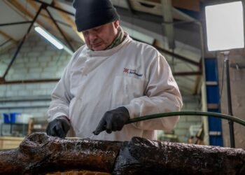 Rare 17th-century Civil War defenses unearthed at Sheffield Castle