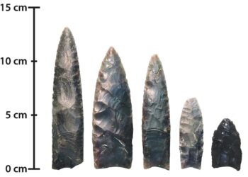 Did Clovis people hunt mammoths or scavenge them? New study challenges old views