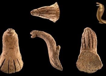4,000-year-old cobra-shaped pottery handle found in Taiwan