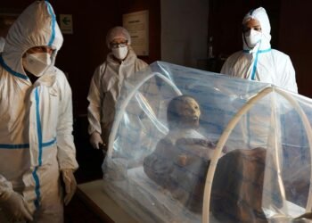 Conservation Soft Box offers affordable and innovative protection for cultural heritage