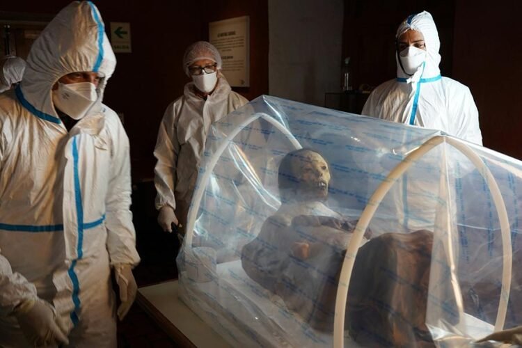 Conservation Soft Box offers affordable and innovative protection for cultural heritage