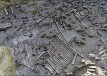 Wooden constructions at Georgia’s Tabakoni mound precisely dated, shedding new light on Bronze Age life