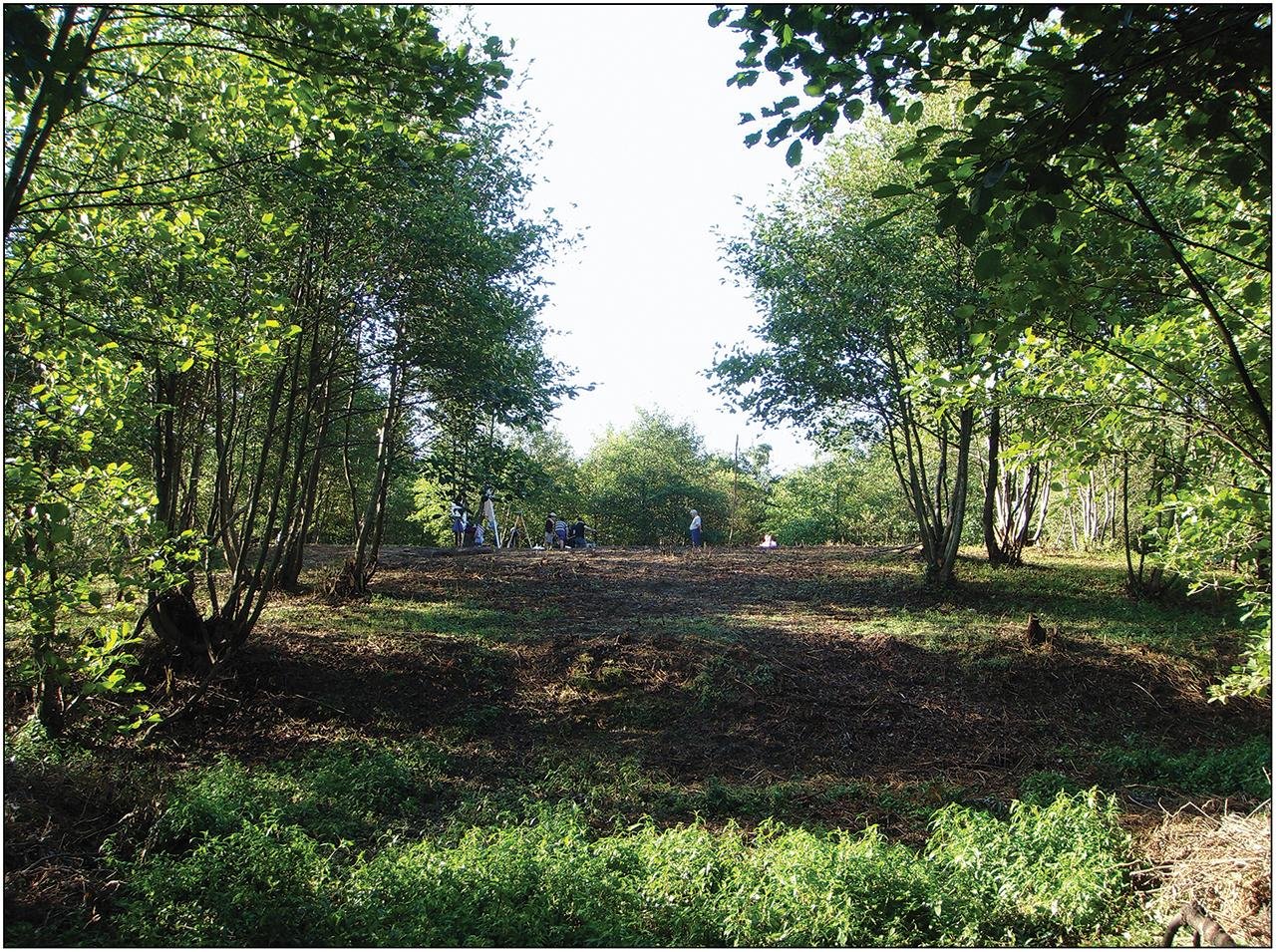 Wooden constructions at Georgia’s Tabakoni mound precisely dated, shedding new light on Bronze Age life