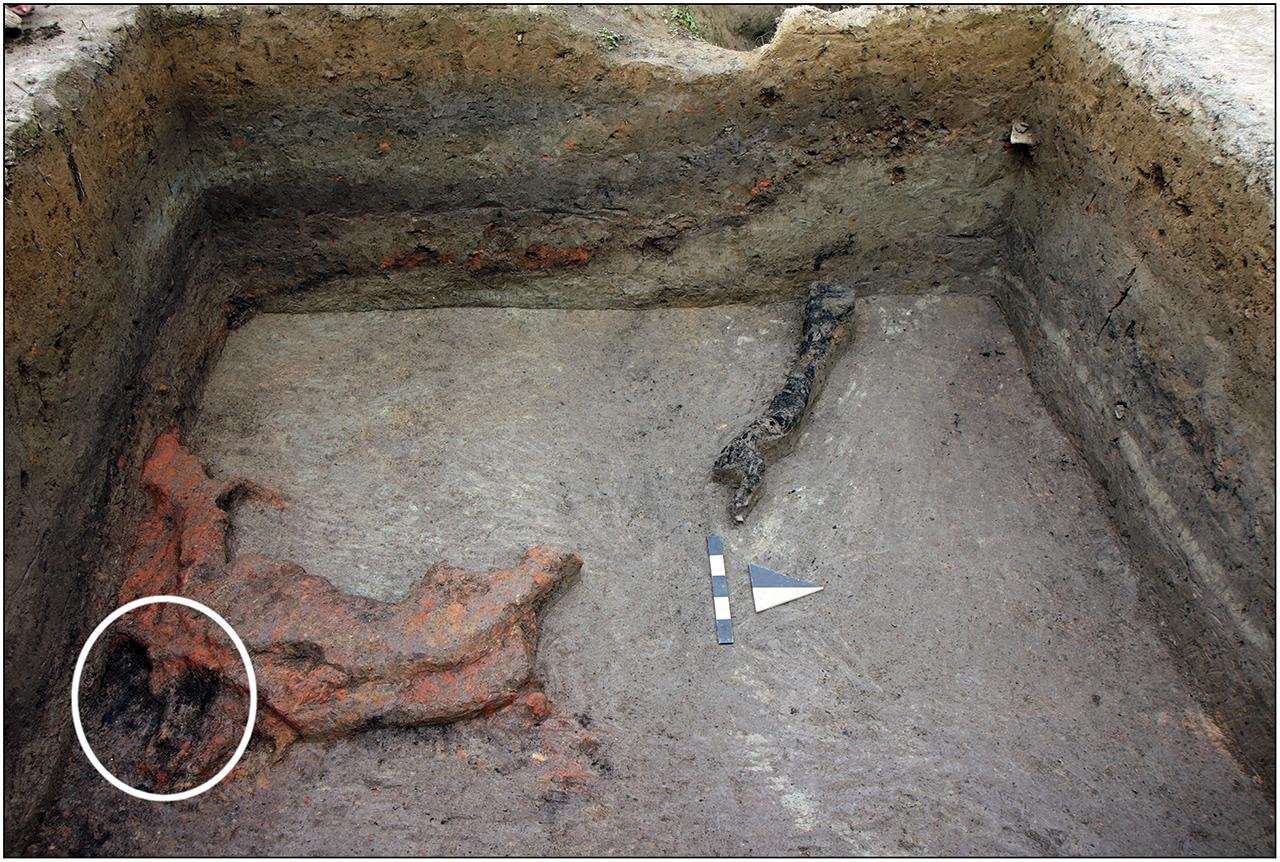 Wooden constructions at Georgia’s Tabakoni mound precisely dated, shedding new light on Bronze Age life