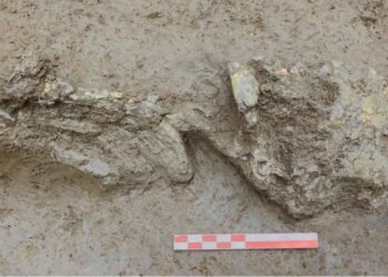 Copper Age infant discovered in Italian well reveals rare genetic origins