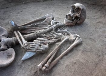 Large Copper Age necropolis unearthed in Northern Italy