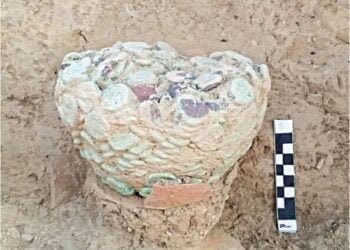 Kushan period copper coins resurface at Mohenjo Daro after 93 years