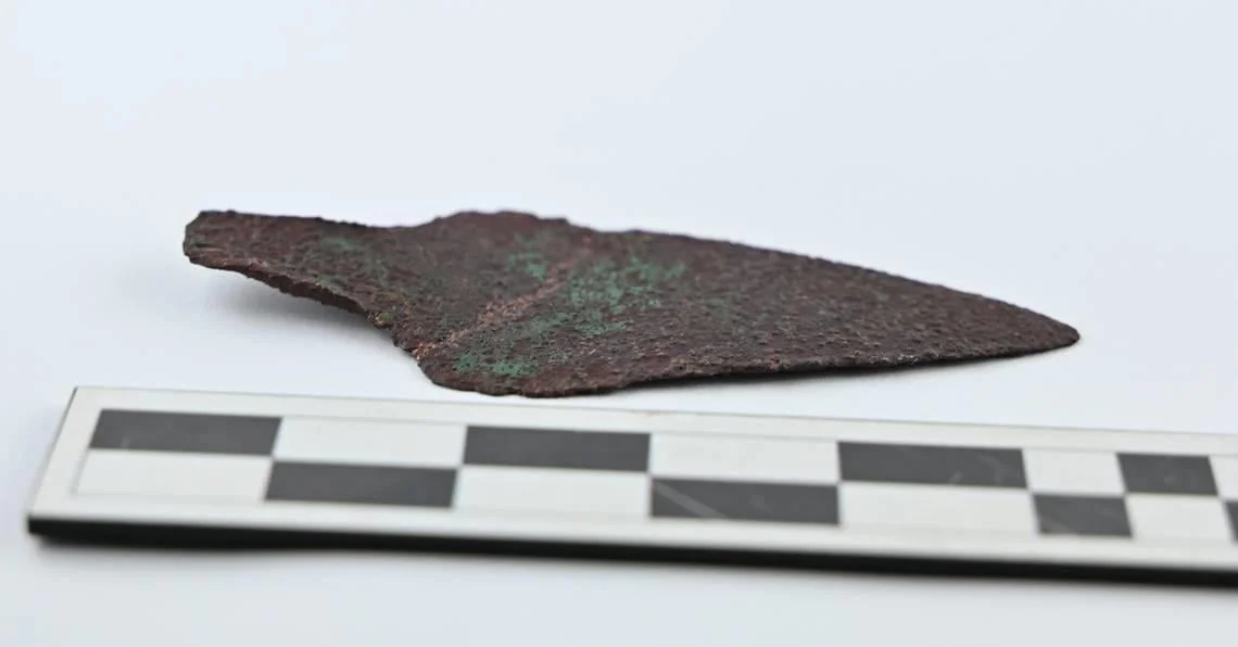 Rare 4,000-year-old copper dagger found in Polish forest