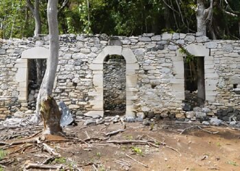 How coral buildings are helping archaeologists date colonial-era sites in French Polynesia