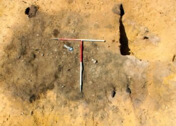 Ancient cremation pyre uncovered at Sizewell site in England reveals rare prehistoric burial ritual