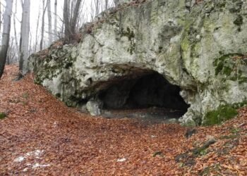 18,000-year-old evidence of cultural cannibalism uncovered in Poland’s Maszycka Cave