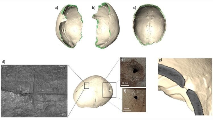Cup made from prehistoric human skull discovered in Spanish cave