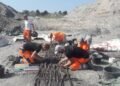 Ancient Danes kept fishing for millennia after farming arrived, study finds