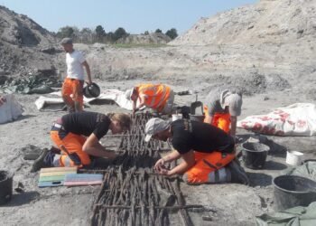 Ancient Danes kept fishing for millennia after farming arrived, study finds
