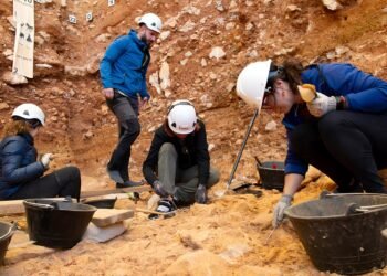 Decapitation of a child 850,000 years ago offers new evidence of cannibalism at Atapuerca