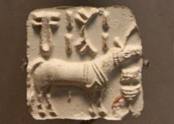 $1 million prize offered to decipher 5,300-year-old Indus Valley script