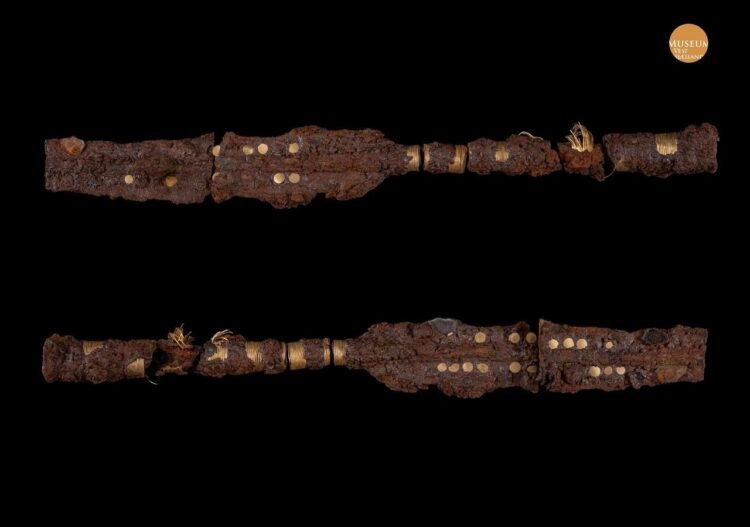 Denmark’s earliest iron weapons discovered: gold-plated lances unearthed at sacred Bronze Age site