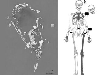 1,200-year-old remains of dismembered pregnant woman in Ecuador may have been sacrificed to thwart El Niño