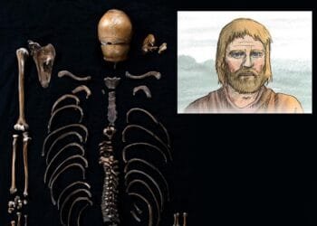 DNA analysis of 'Well-man' thrown into castle well corroborates 800-year-old Norse saga