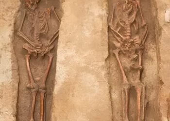 Family ties detected in 17th-century colonial cemetery in Delaware