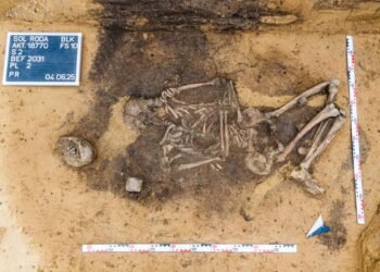 4,500-year-old dog tooth–adorned bags unearthed in Germany reveal burial practices of Neolithic elites