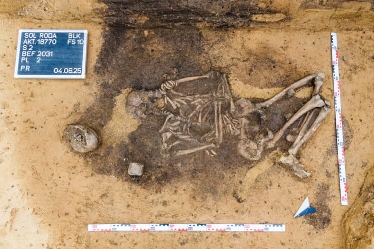 4,500-year-old dog tooth–adorned bags unearthed in Germany reveal burial practices of Neolithic elites
