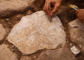 Running wild donkey figure discovered in Karahantepe
