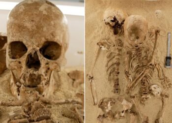 DNA reveals rare dwarfism in teenager who lived in Italy 12,000 years ago