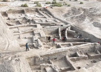 Archaeologists launch landmark study of Dzhetyasar culture settlements in Kazakhstan. Credit: Margulan Institute of Archaeology