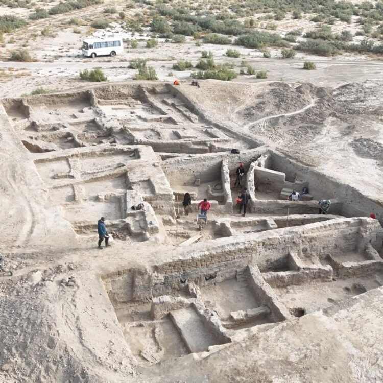 Archaeologists launch landmark study of Dzhetyasar culture settlements in Kazakhstan. Credit: Margulan Institute of Archaeology