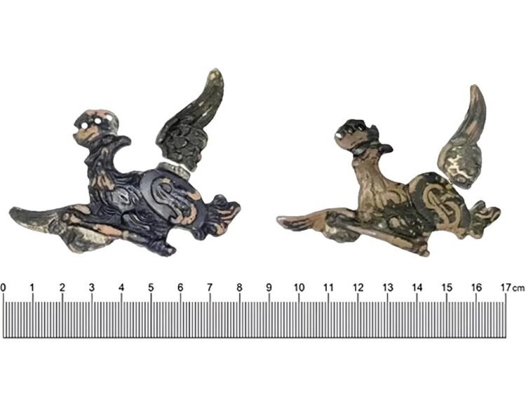 Eagle emblems of soldiers discovered at battlefield site in Poland