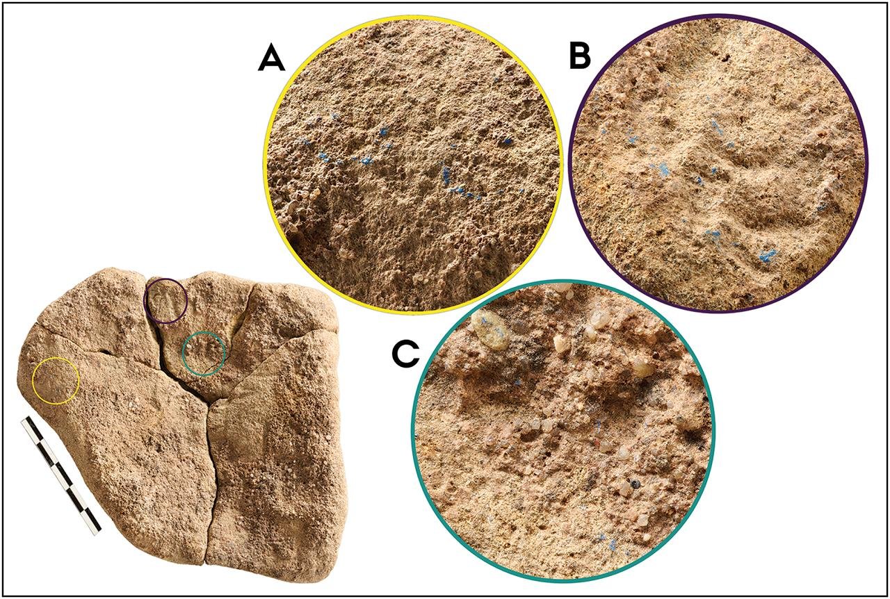 Earliest evidence of blue pigment in Europe unearthed at Paleolithic site in Germany