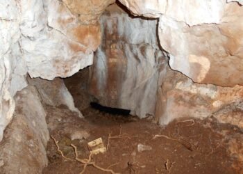 Earliest known burial in Northern Britain identified as young girl through DNA analysis