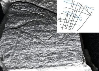 15,800-year-old Ice Age engravings reveal earliest depictions of fish trapping