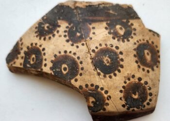 World’s earliest botanical art reveals 8,000-year-old mathematical thinking