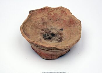 Earliest use of psychoactive plant 'harmal' uncovered in ancient Arabia for health and healing