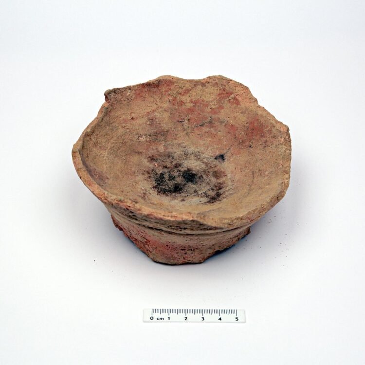 Earliest use of psychoactive plant 'harmal' uncovered in ancient Arabia for health and healing