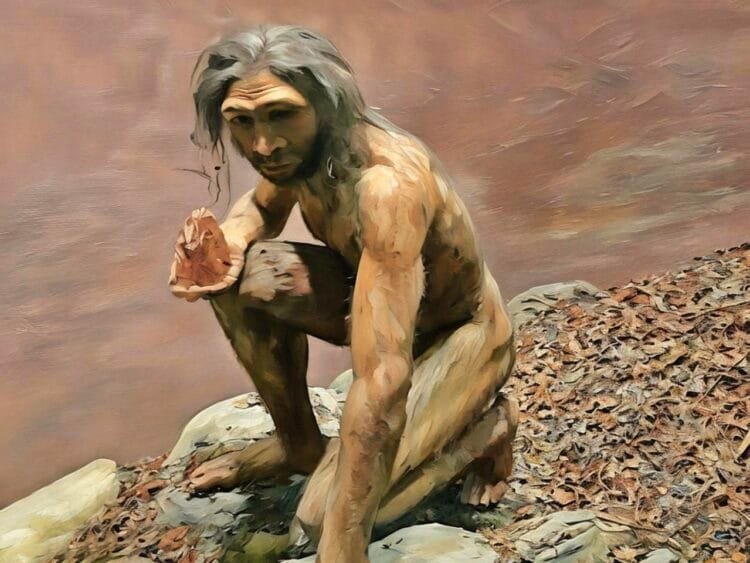 Ethiopia's early hominins show remarkable technological decision-making