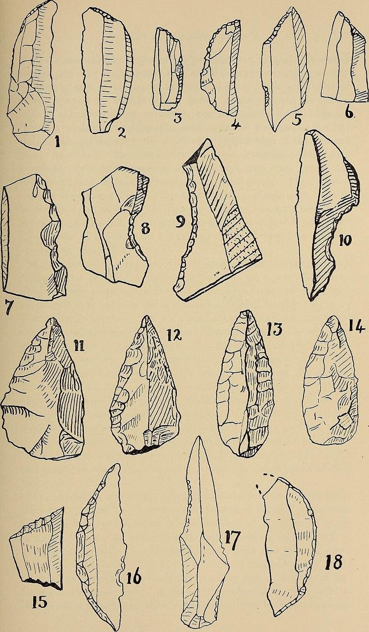 Early human innovation in southern Africa tied to mobility and social networks rather than climate alone, new study shows