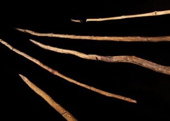 Early humans used sophisticated woodworking techniques to hunt animals, study shows