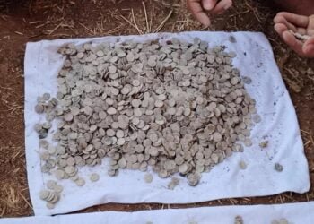 Earthen pot containing 3,730 lead coins from Ikshvaku period unearthed in Phanigiri, India.