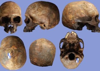 4th-century earthquake victims in Heraclea Sintica reveal care for disabled in Roman world