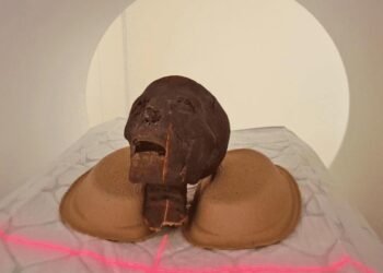 CT scans reveal hidden details of 2,300-year-old Egyptian mummies