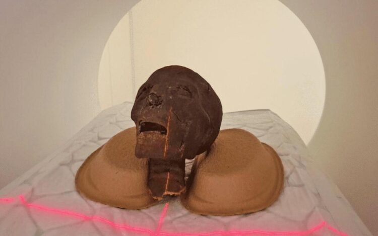 CT scans reveal hidden details of 2,300-year-old Egyptian mummies
