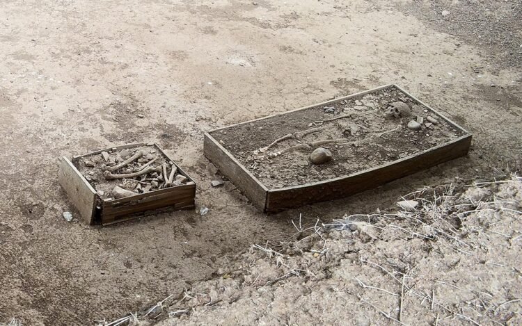 1,000-year-old elite tomb filled with gold uncovered at El Caño Archaeological Park in Panama