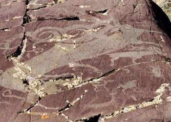 Ancient elk petroglyphs in Mongolia show 12,000-year shift from realism to wolf-like symbols