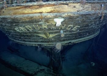 New study reveals Shackleton knew Endurance was structurally unfit for Antarctic ice