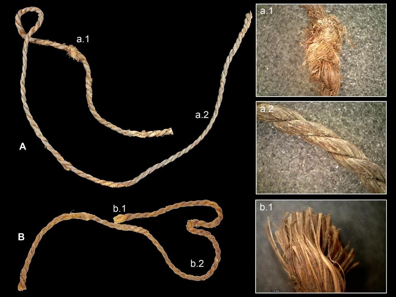 Europe’s oldest known bowstrings discovered in Spanish cave