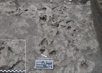 Europe’s oldest plough marks discovered at Anciens Arsenaux site in Switzerland